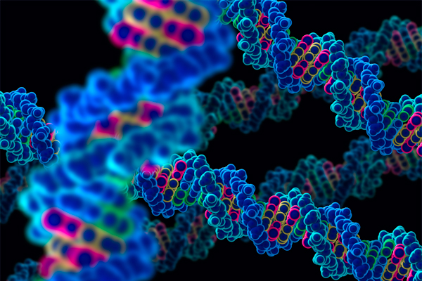 picture of biology molecular 1